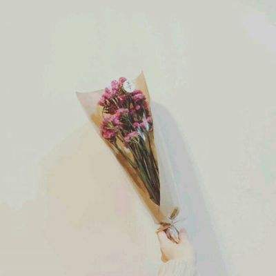 王冠意志果盘版下载